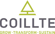 Coillte – Irish National Forestry service – Irish Woodcraft Coillte - Irish National Forestry service - Irish Woodcraft