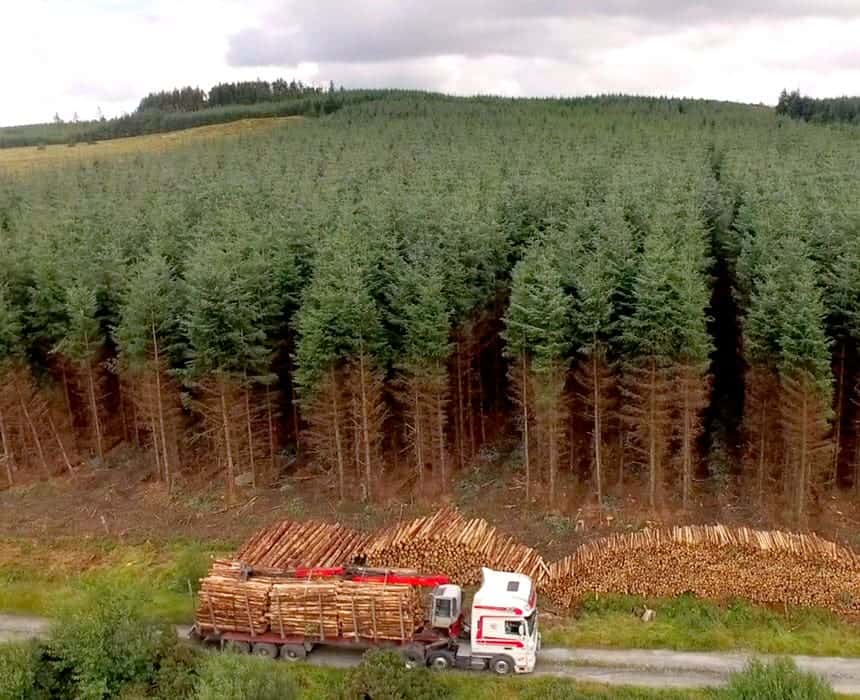 Coillte – Sustainable Bespoke Furniture – Irish Woodcraft Coillte - Sustainable Bespoke Furniture - Irish Woodcraft