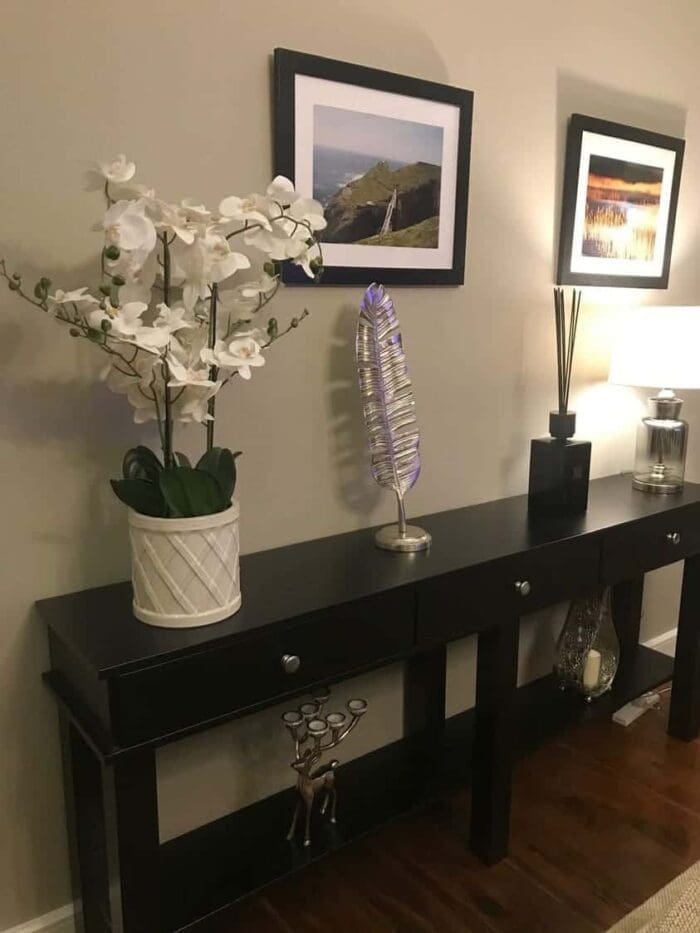 Modern Console table with storage