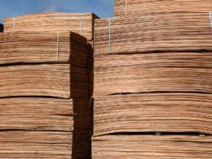 Stacks of Oak veneer in timber yard