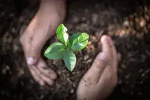 Green Environment