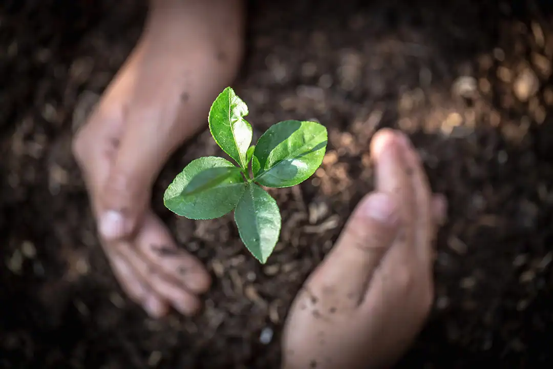 Green Environment