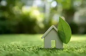 Healthy Homes