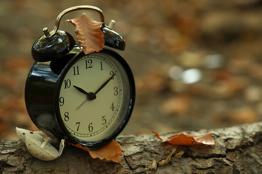 Clock in autumn